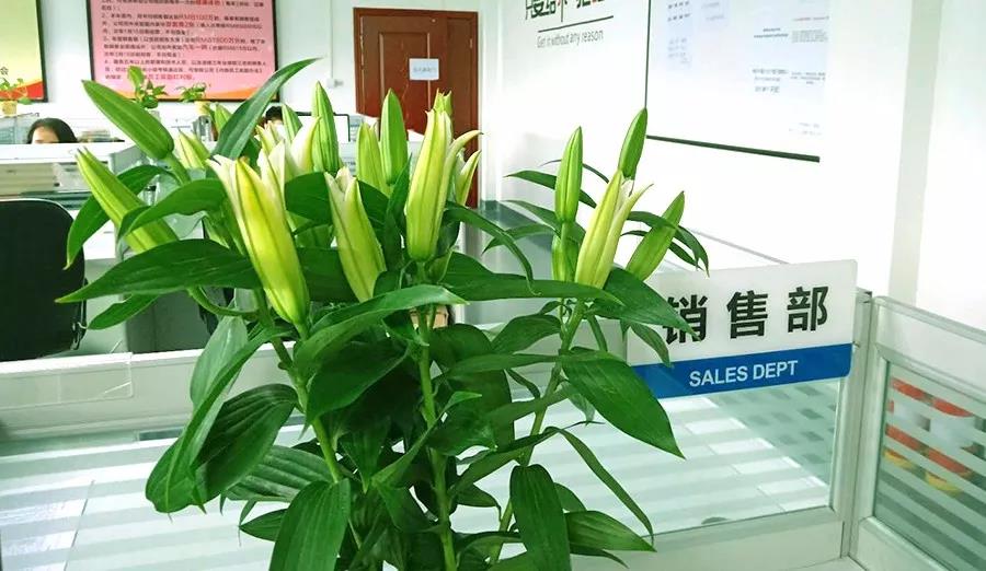 濃情七夕，最美祝福！